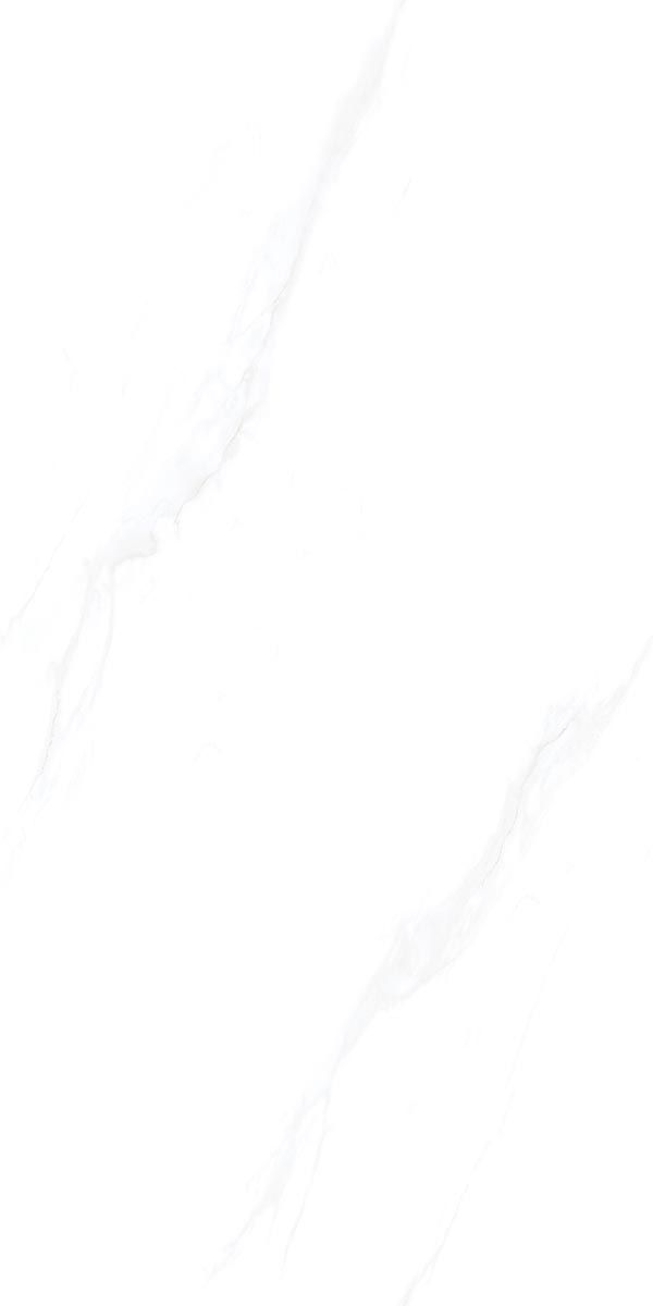 SDA22P00
