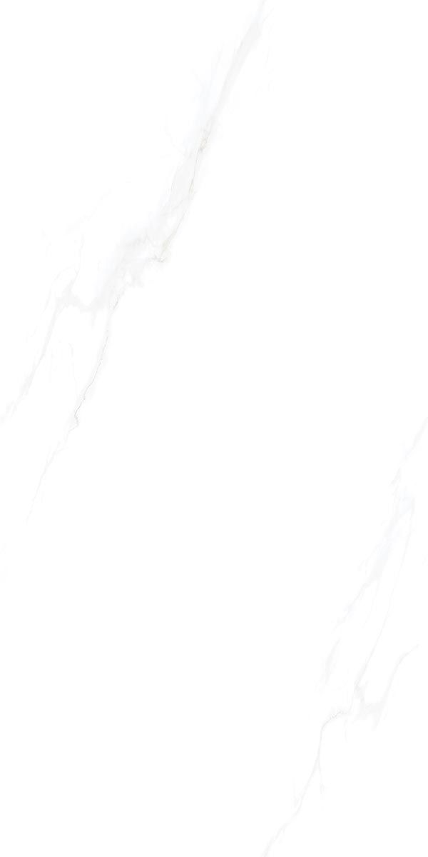 SDA22P00
