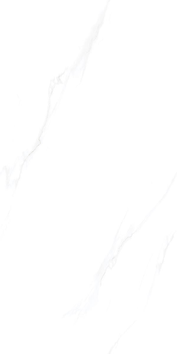 SDA22P00