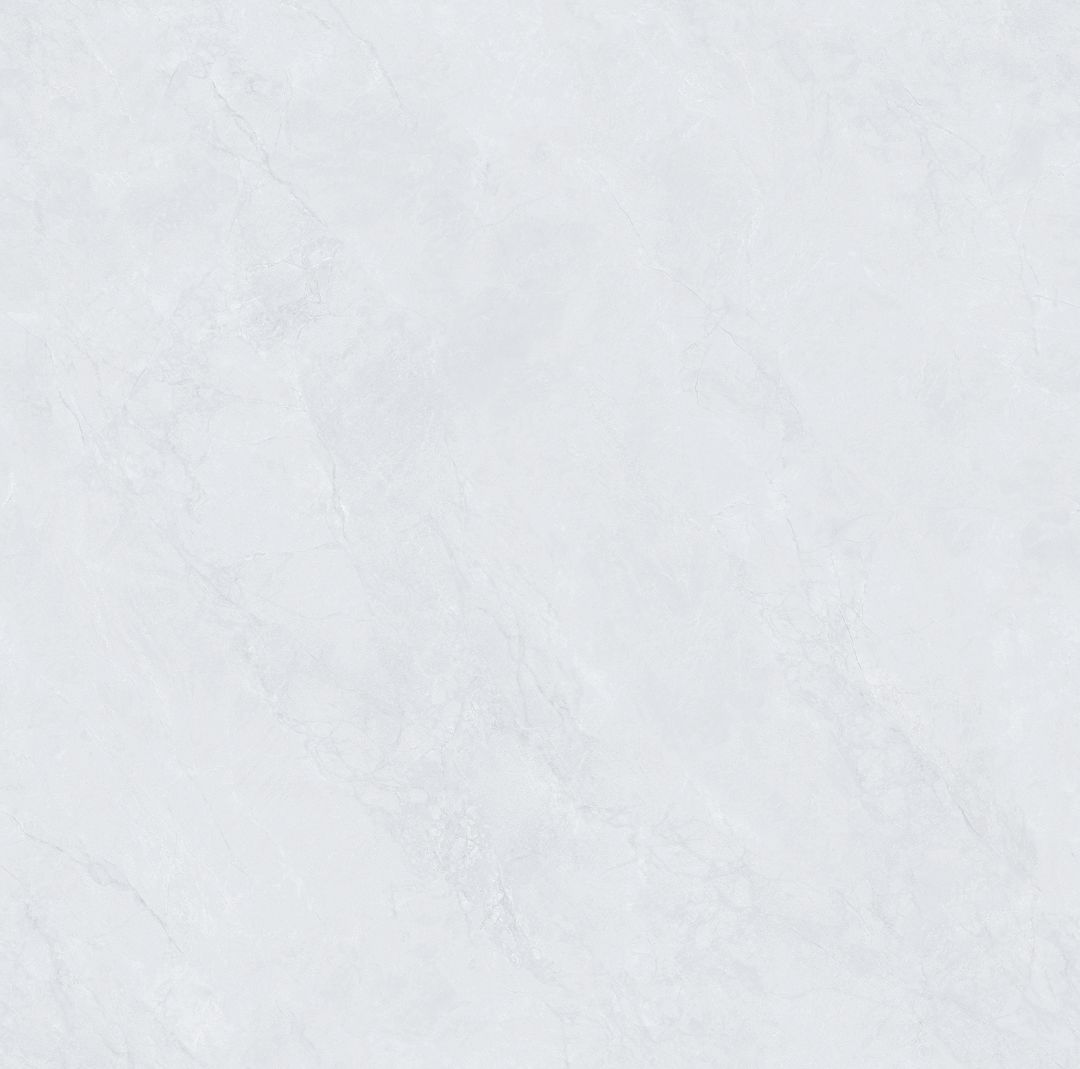 SDA88T007 新鱼肚灰