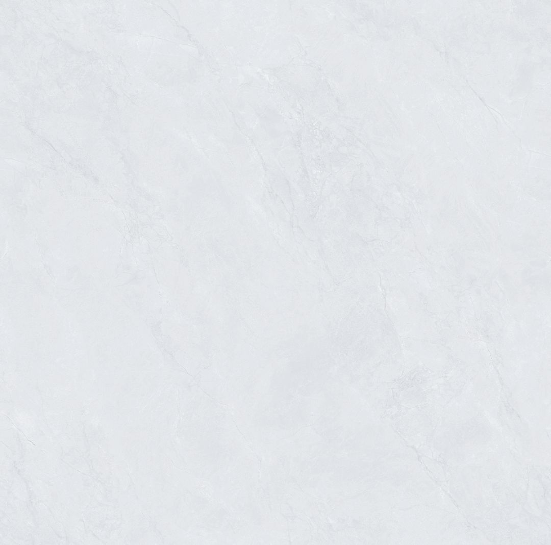 SDA88T007 新鱼肚灰