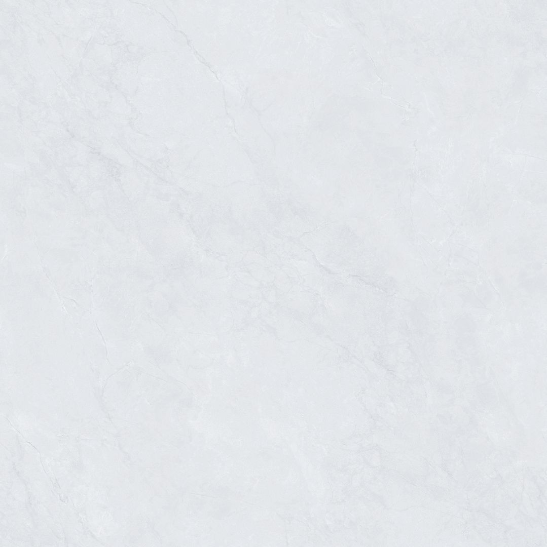 SDA88T007 新鱼肚灰