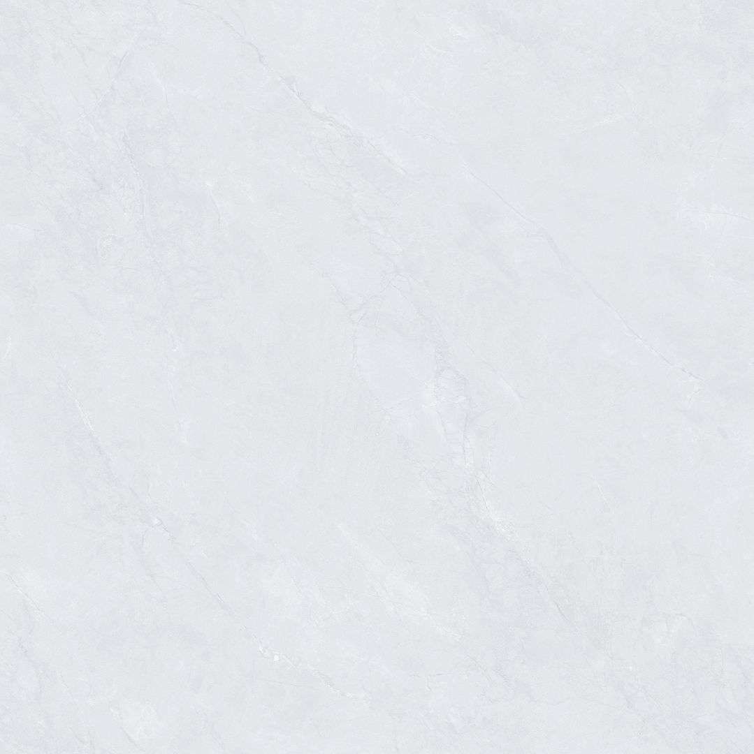 SDA88T007 新鱼肚灰